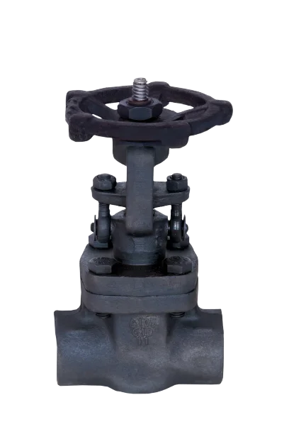 Industrial Gate Valve