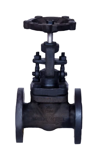 Industrial Globe Valve