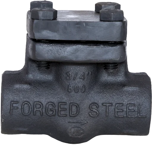 Vertical Check Valve