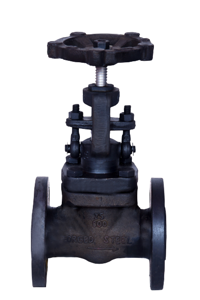 SS Gate Valve Manufacturers In Jharkhand