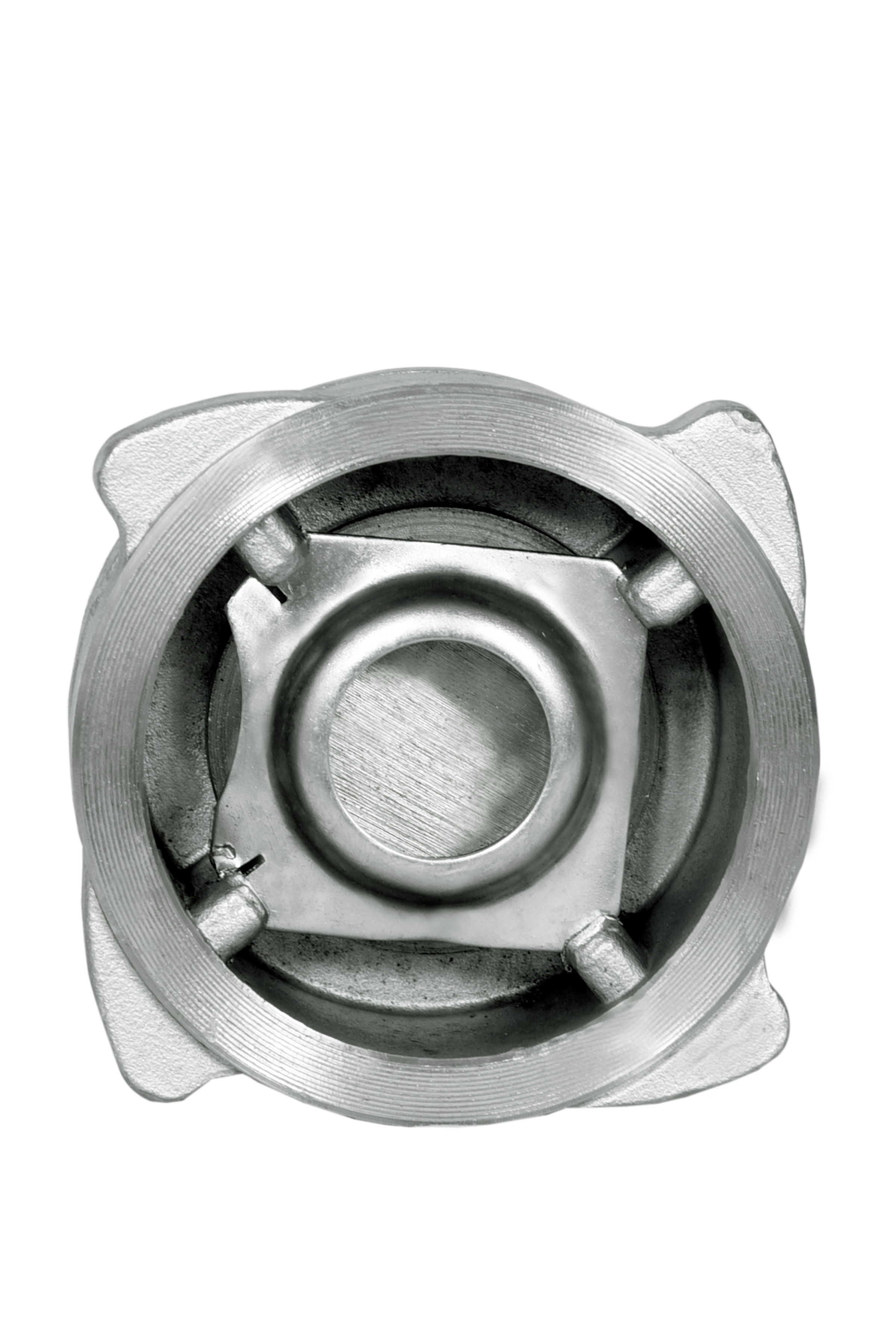 SS Disk Check Valve Manufacturers In Rajasthan