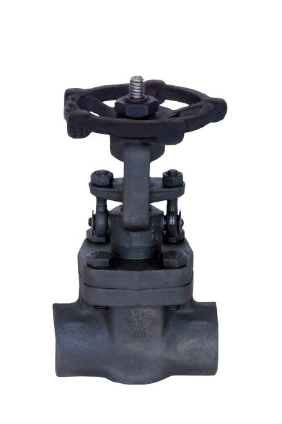 Forged Steel Gate Valve Manufacturers