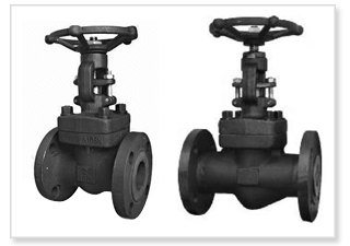 Forged Steel Gata Valve Flanged Manufacturers In India